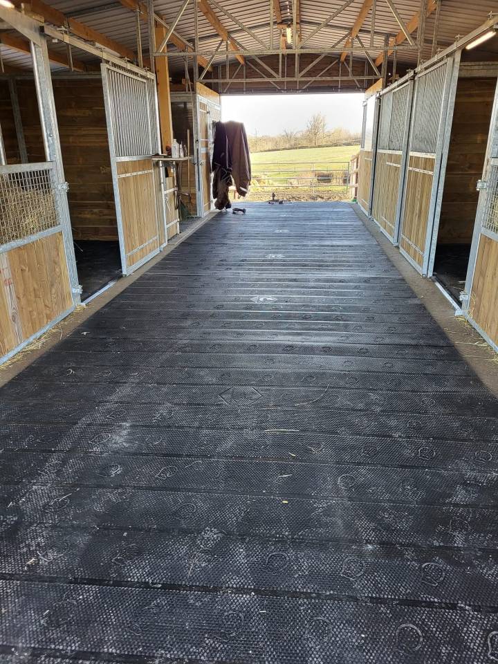 Elevage des Musardes  