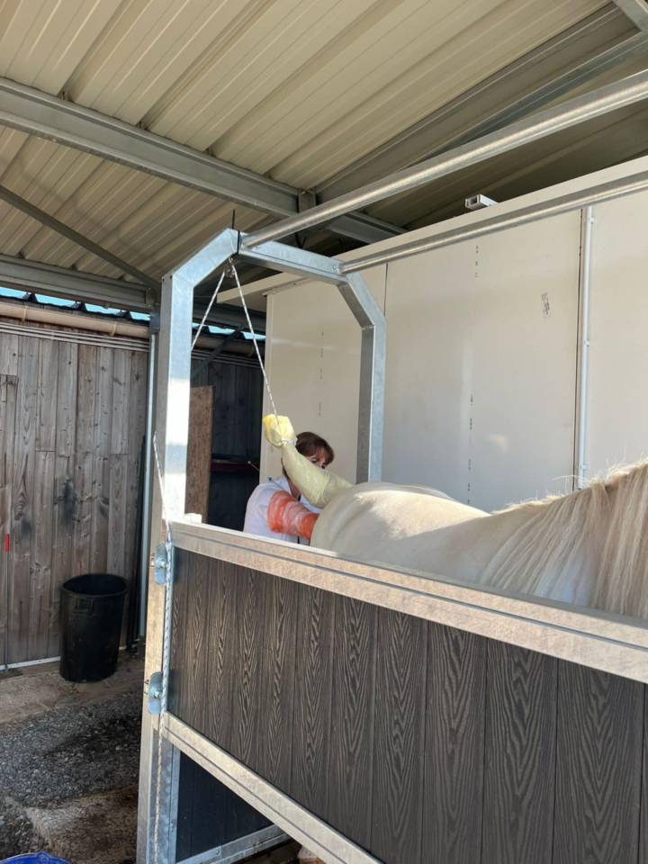 Elevage des Musardes  