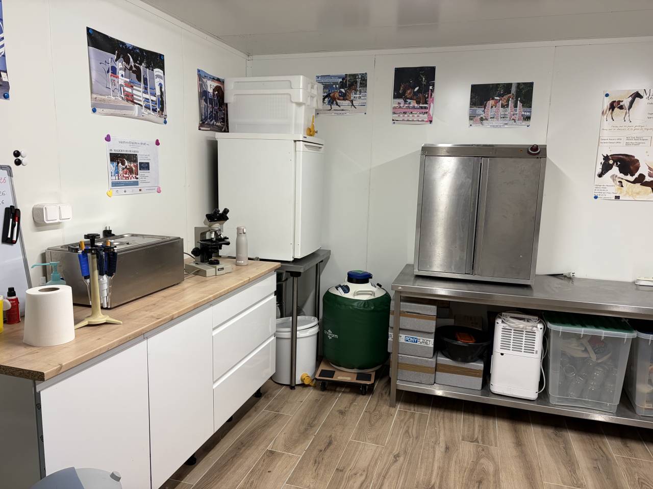 Elevage des Musardes  