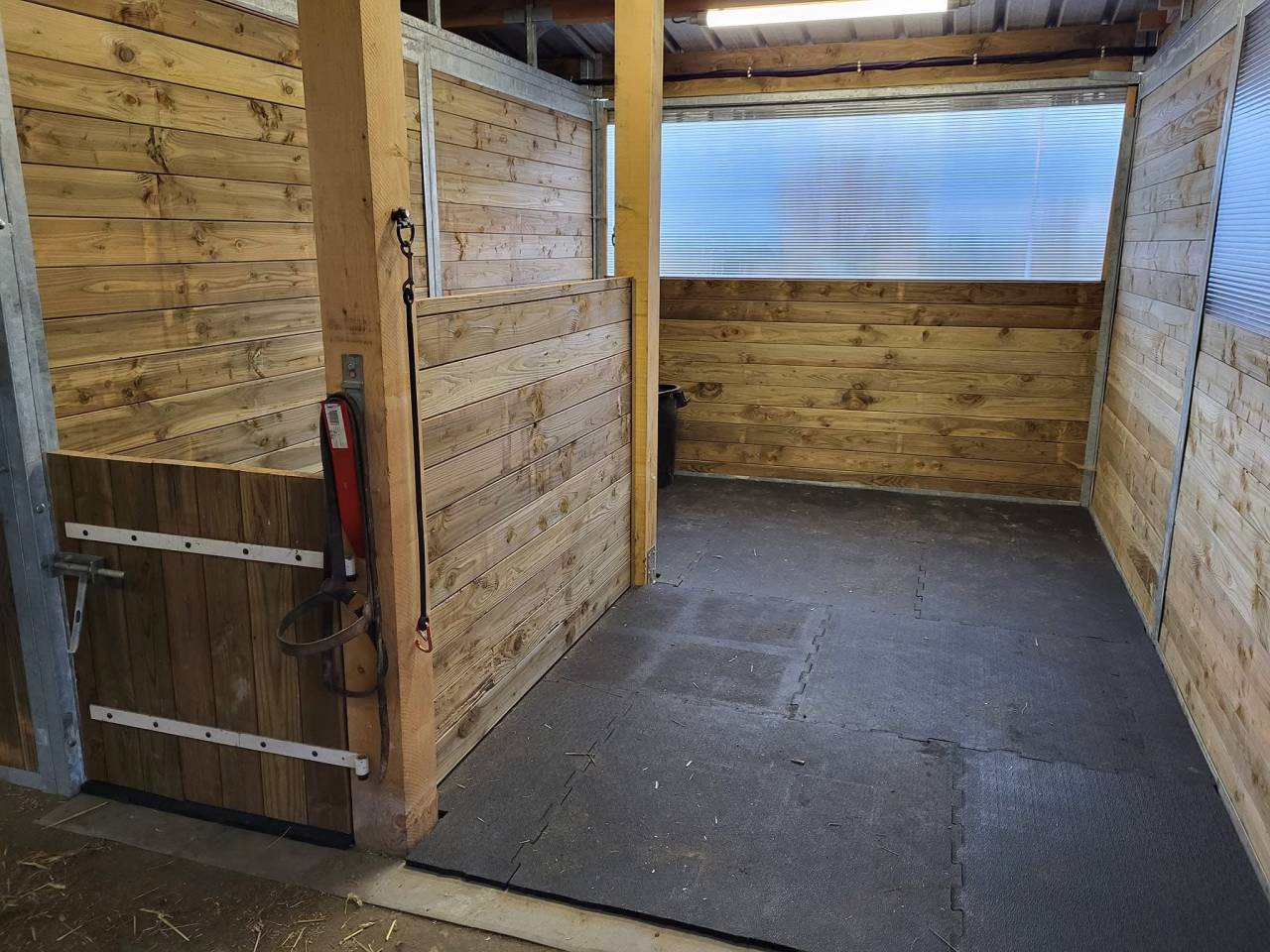 Elevage des Musardes  