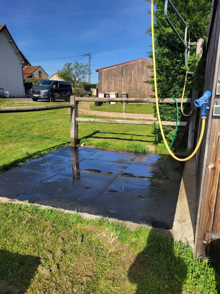 Elevage des Musardes  