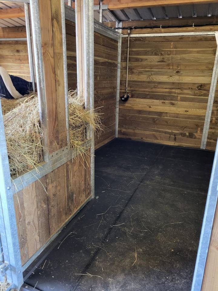 Elevage des Musardes  