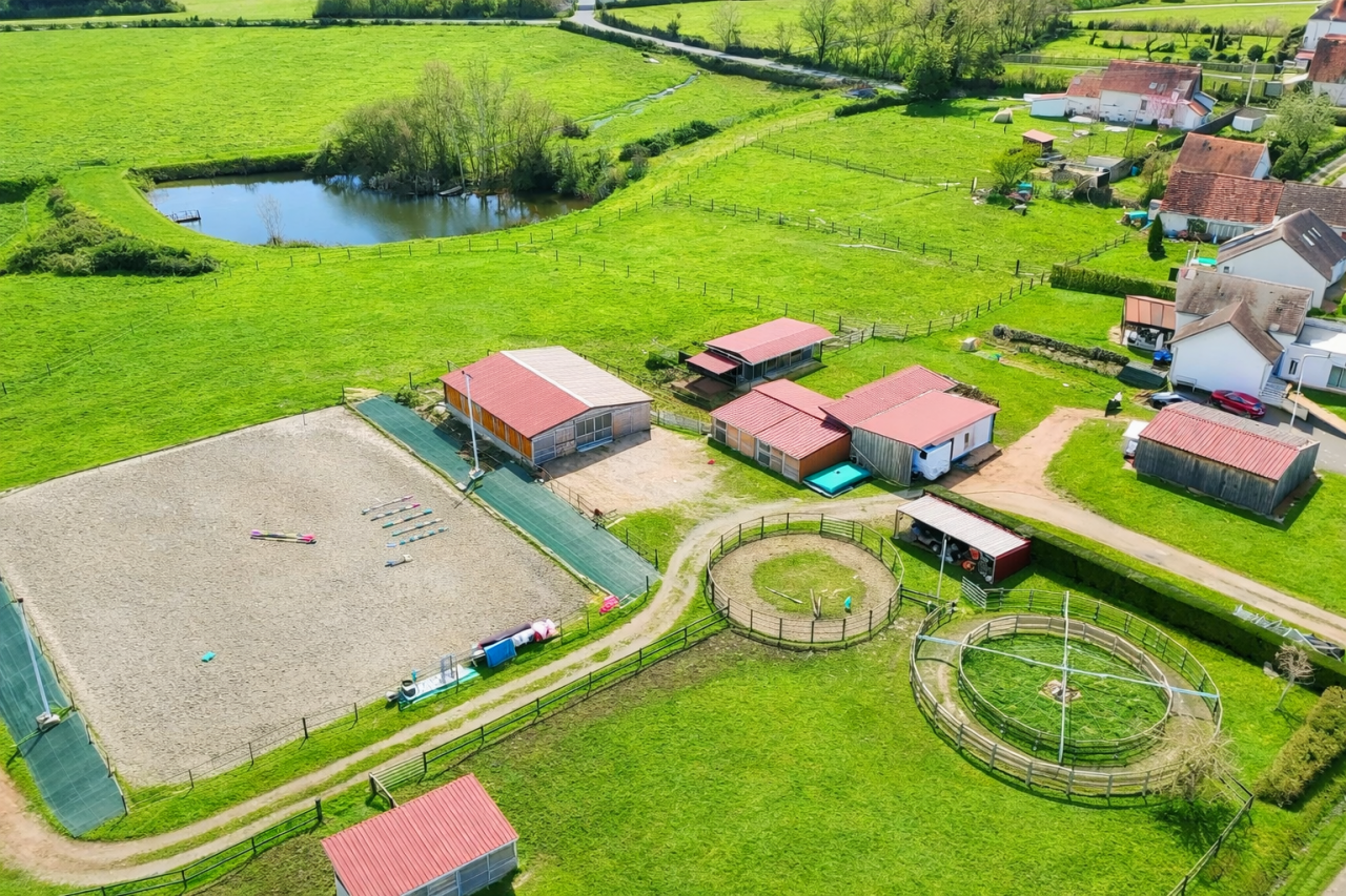 Elevage des Musardes  