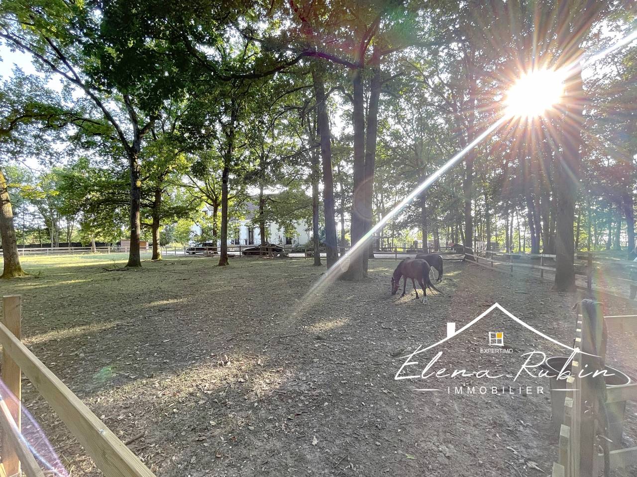 Bella dimora equestre In vendita Essonne