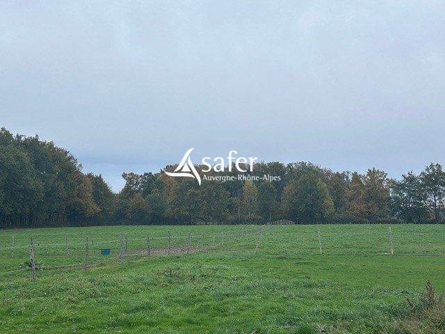 Proprietà equestre In vendita Puy-de-Dôme