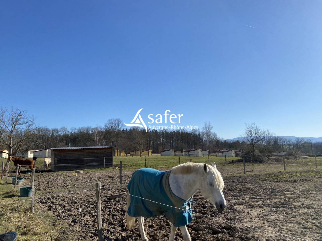 Proprietà equestre In vendita Puy-de-Dôme