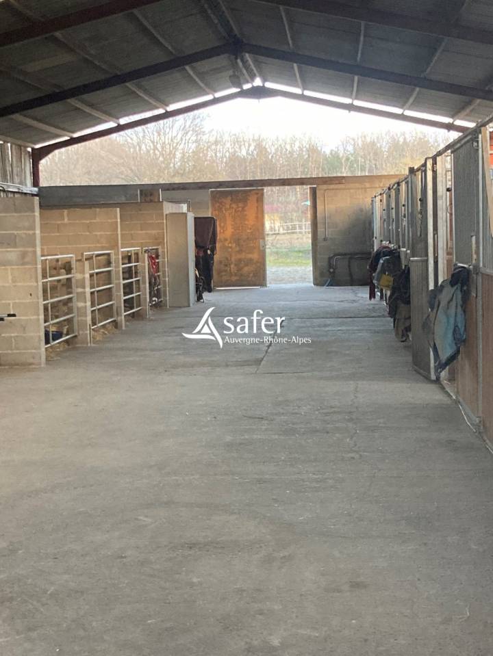 Proprietà equestre In vendita Puy-de-Dôme