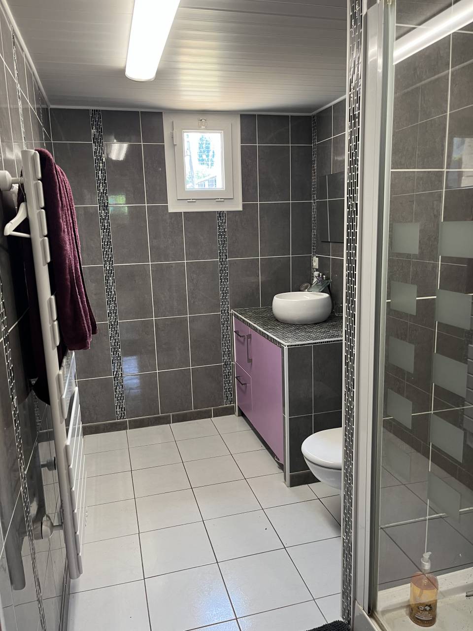 Proprietà equestre In vendita Seine-et-Marne