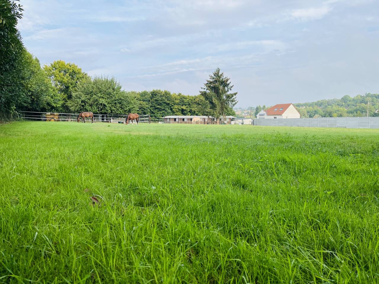 Proprietà equestre In vendita Seine-et-Marne