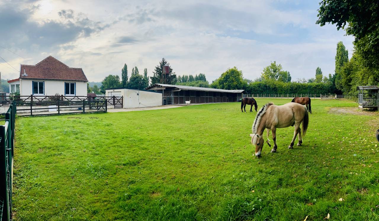 Proprietà equestre In vendita Seine-et-Marne