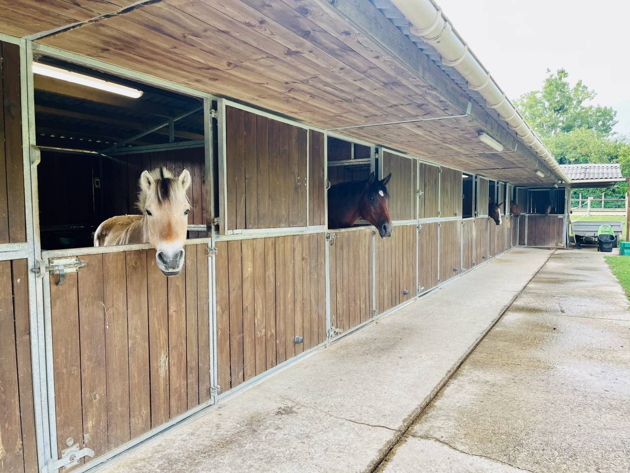 Proprietà equestre In vendita Seine-et-Marne