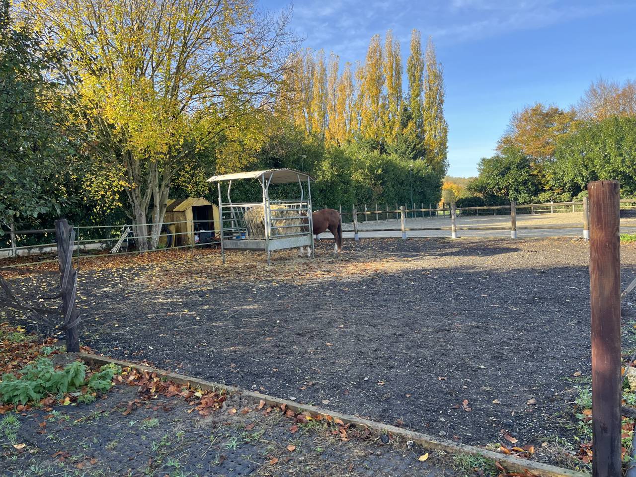 Proprietà equestre In vendita Seine-et-Marne