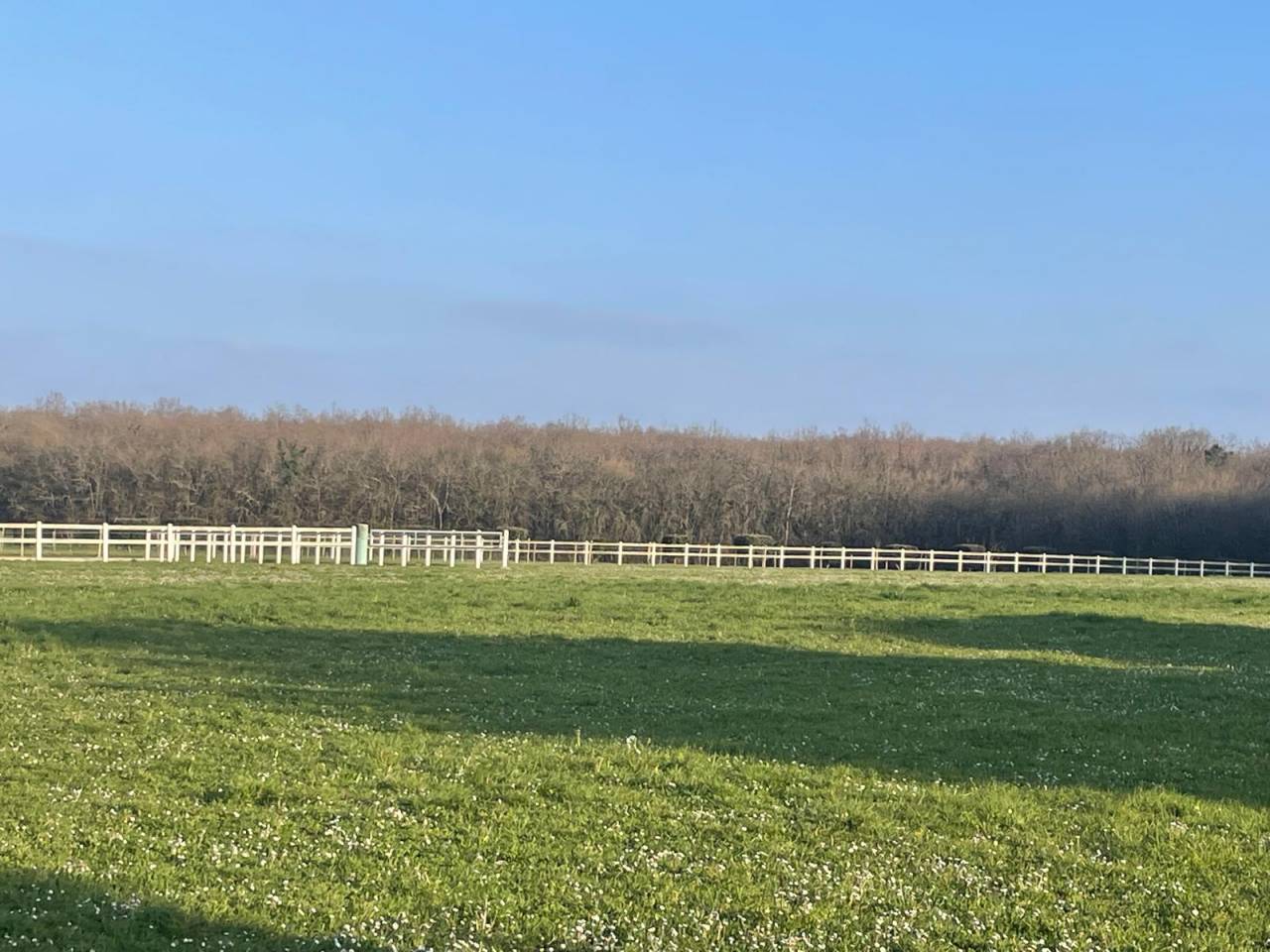 Proprietà equestre In vendita Deux-Sèvres