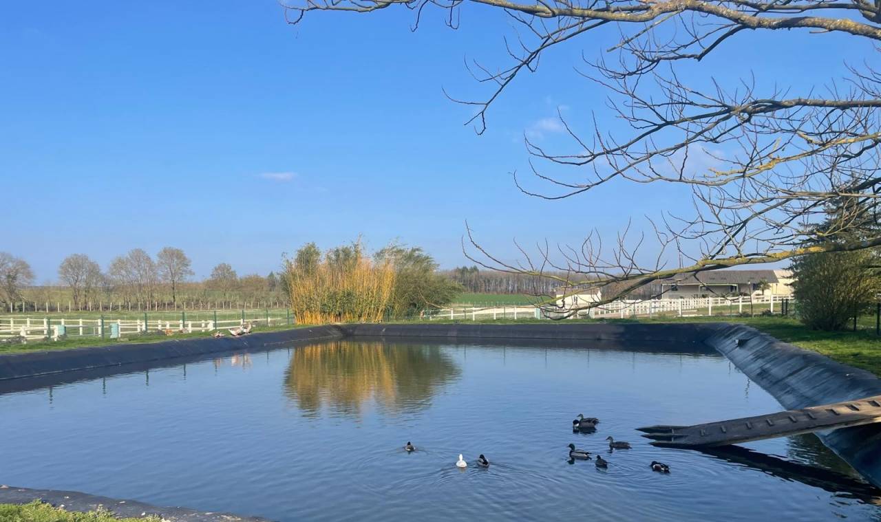 Proprietà equestre In vendita Deux-Sèvres