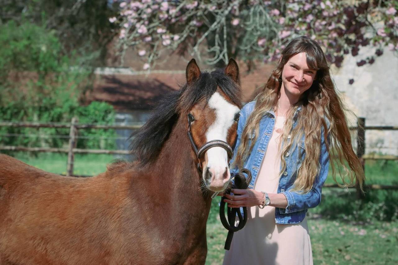 Puledro PFS Pony Francese da Sella In vendita 2024 Baio ,  goldwyn d'embets