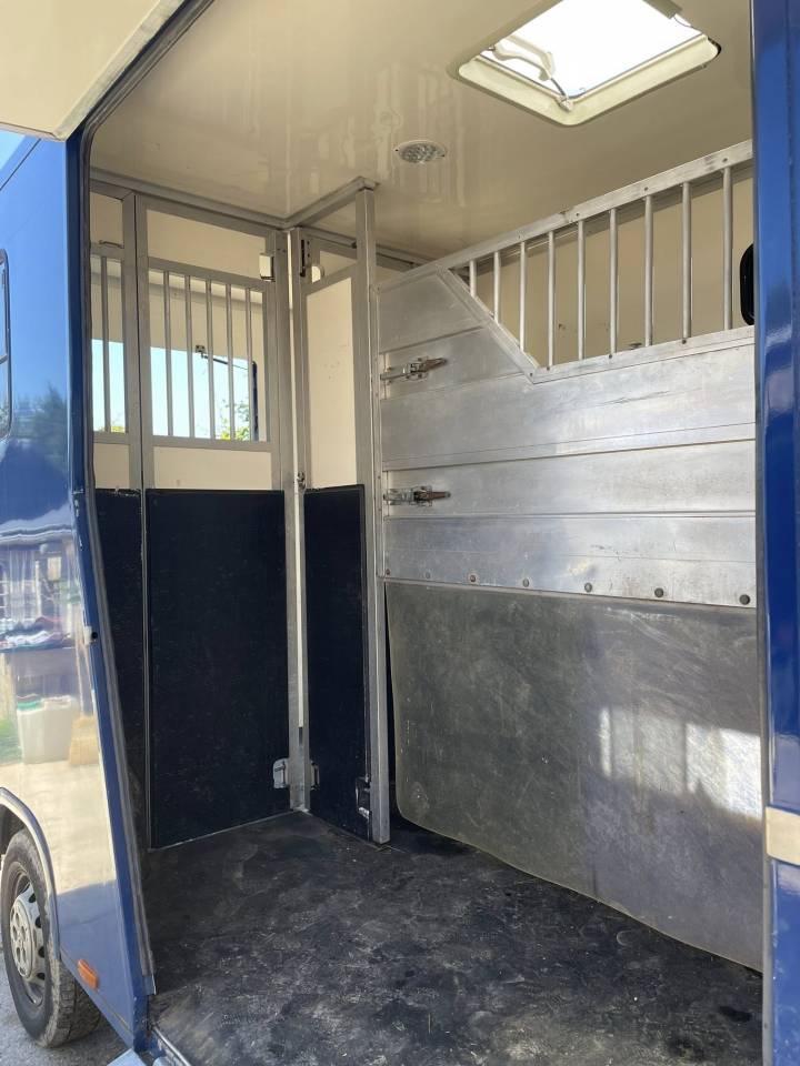 Van per Cavalli MC Guillaume  2011 Occasione