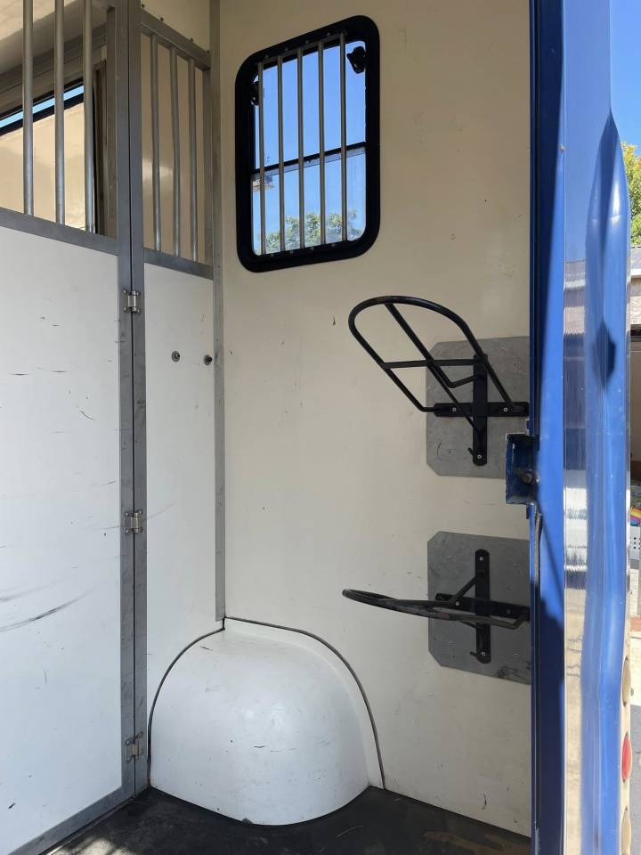 Van per Cavalli MC Guillaume  2011 Occasione