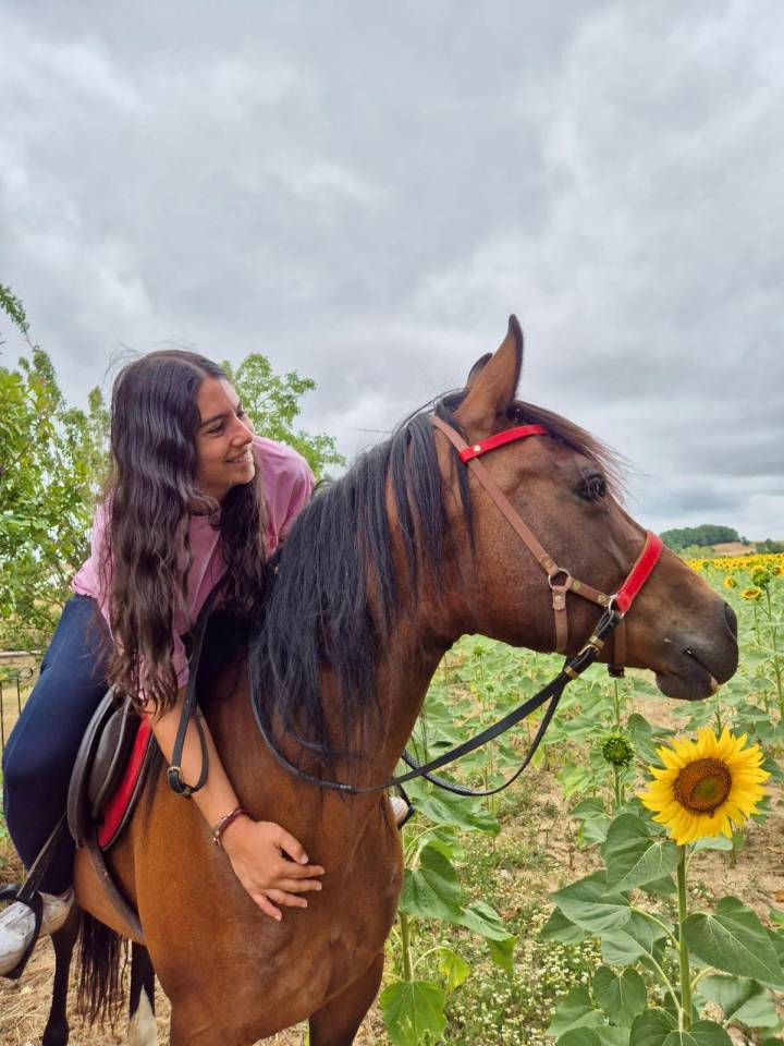 Cavalla Origine non conosciuta  In vendita 2016 Baio ,  CHEROKEE RUGGED TWIST