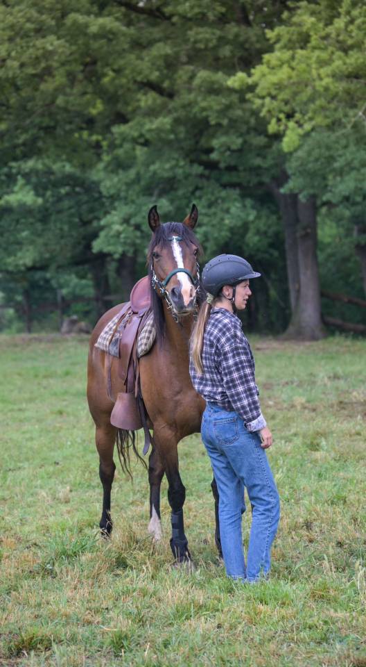 Cavalla Origine non conosciuta  In vendita 2016 Baio ,  CHEROKEE RUGGED TWIST