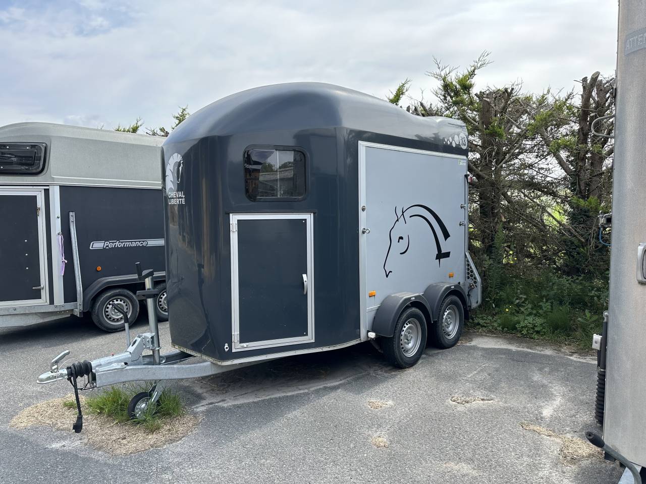 Trailer Cheval Liberté GOLD 3 2 Cavalli 2023 Occasione
