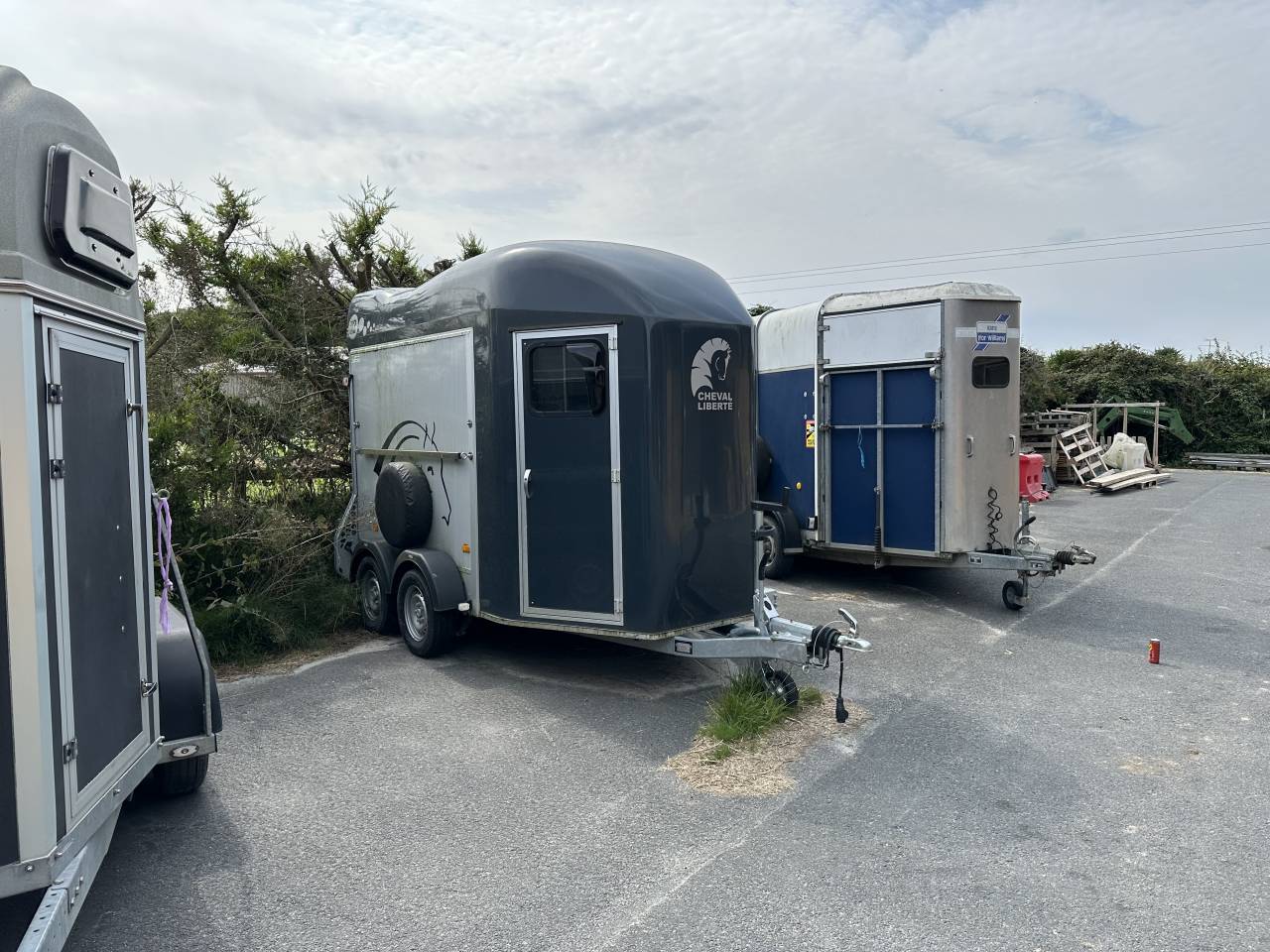 Trailer Cheval Liberté GOLD 3 2 Cavalli 2023 Occasione