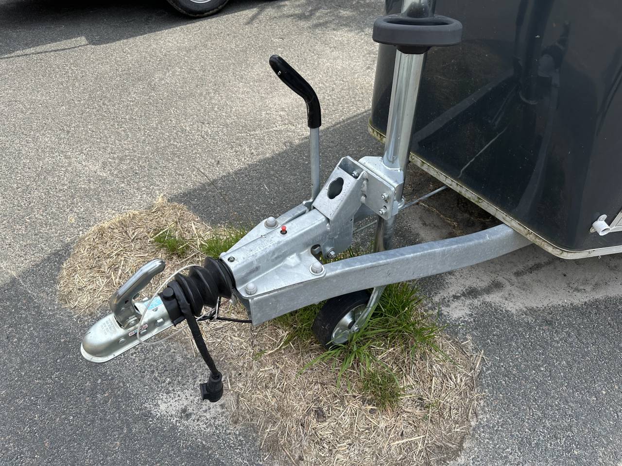 Trailer Cheval Liberté GOLD 3 2 Cavalli 2023 Occasione