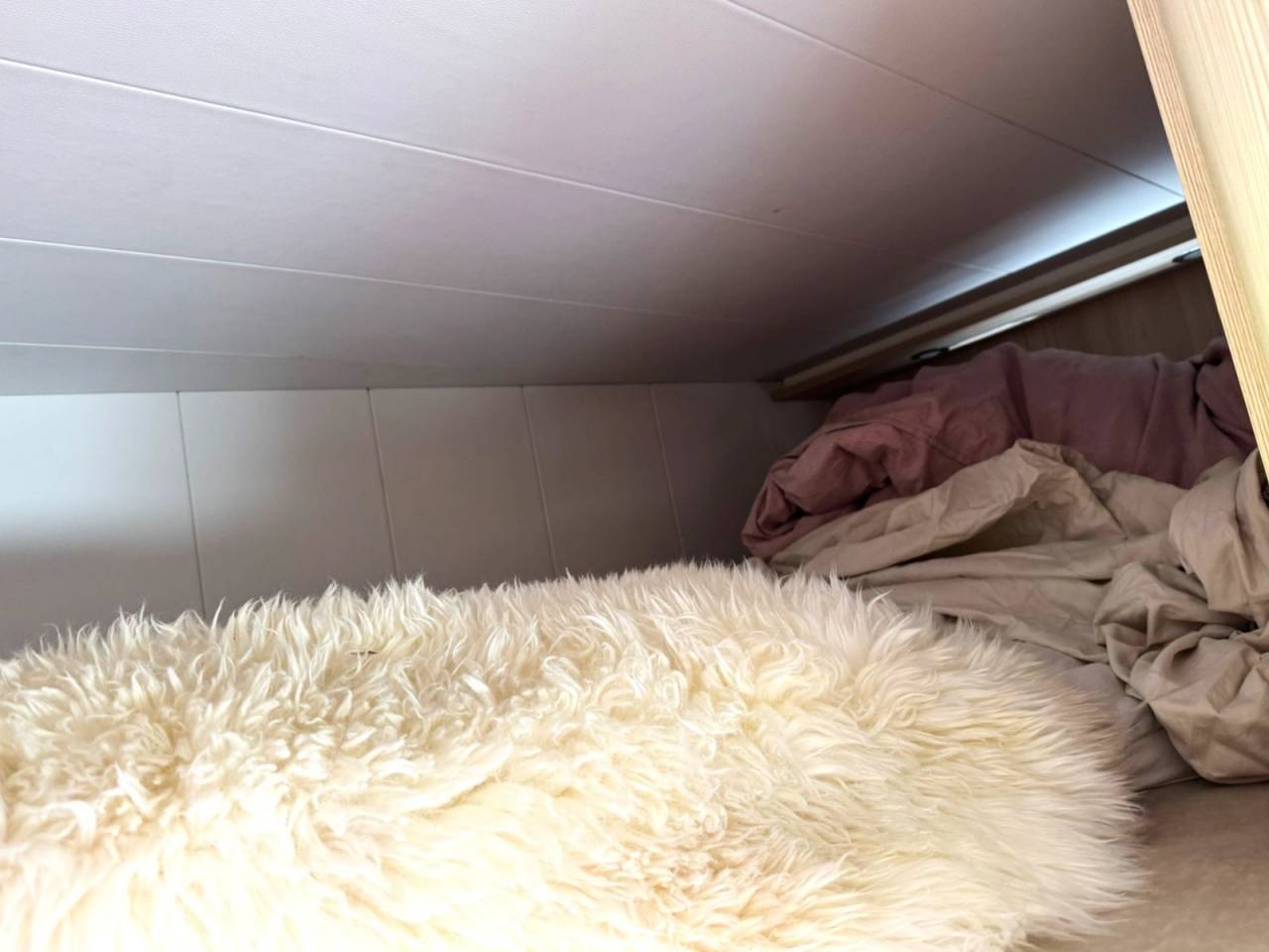 Camion per Cavalli Altra marca VOLVO 0 Occasione