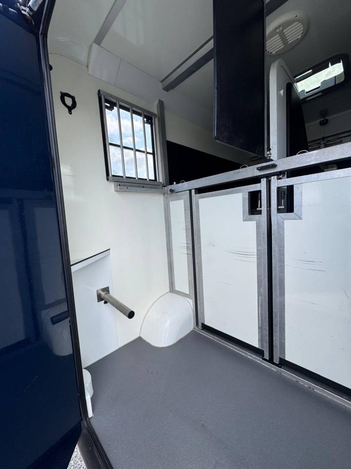 Van per Cavalli Renault STX 2015 Occasione