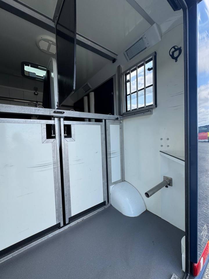 Van per Cavalli Renault STX 2015 Occasione