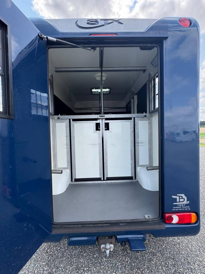 Van per Cavalli Renault STX 2015 Occasione