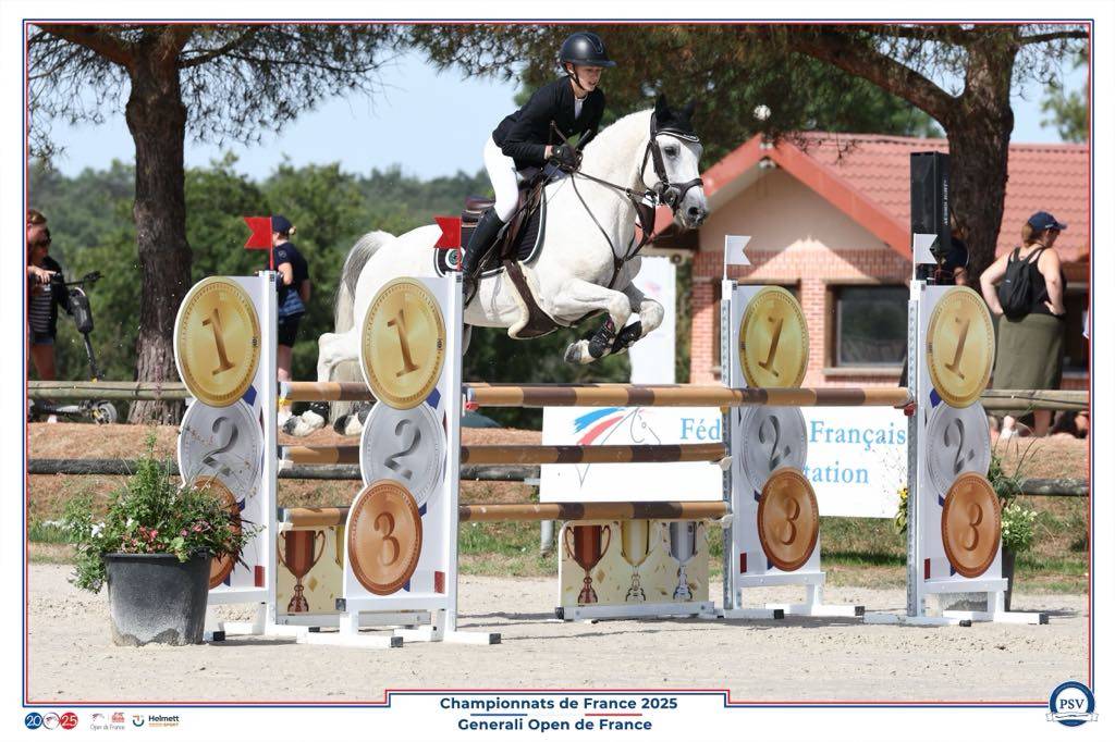 Puledro Connemara In vendita 2025 Grigio ,  Elwood blues d’Argan