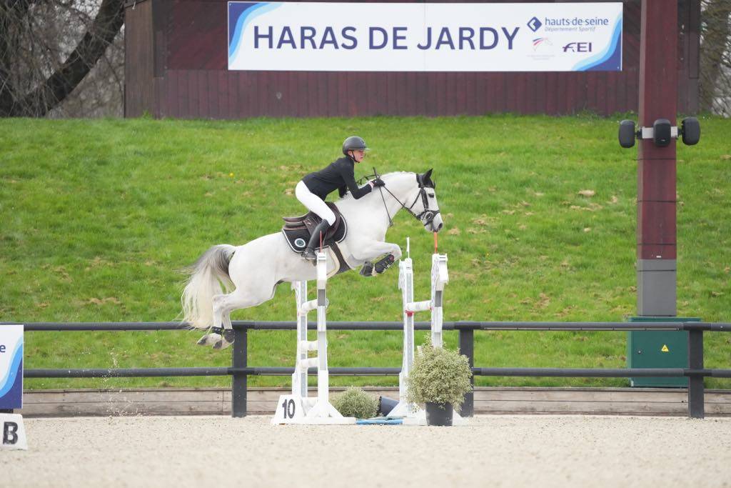 Puledro Connemara In vendita 2025 Grigio ,  Elwood blues d’Argan