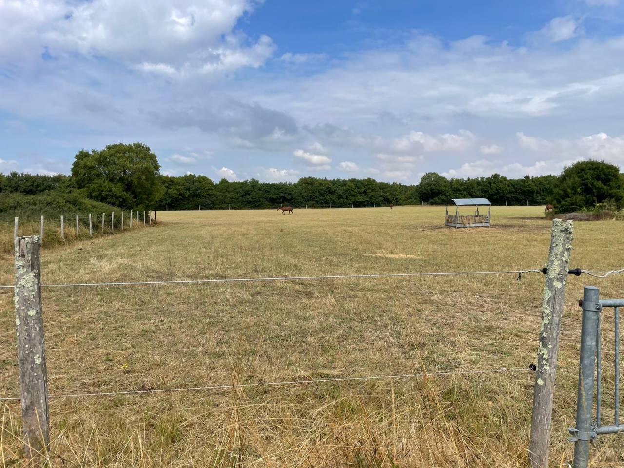 Proprietà equestre In vendita Deux-Sèvres