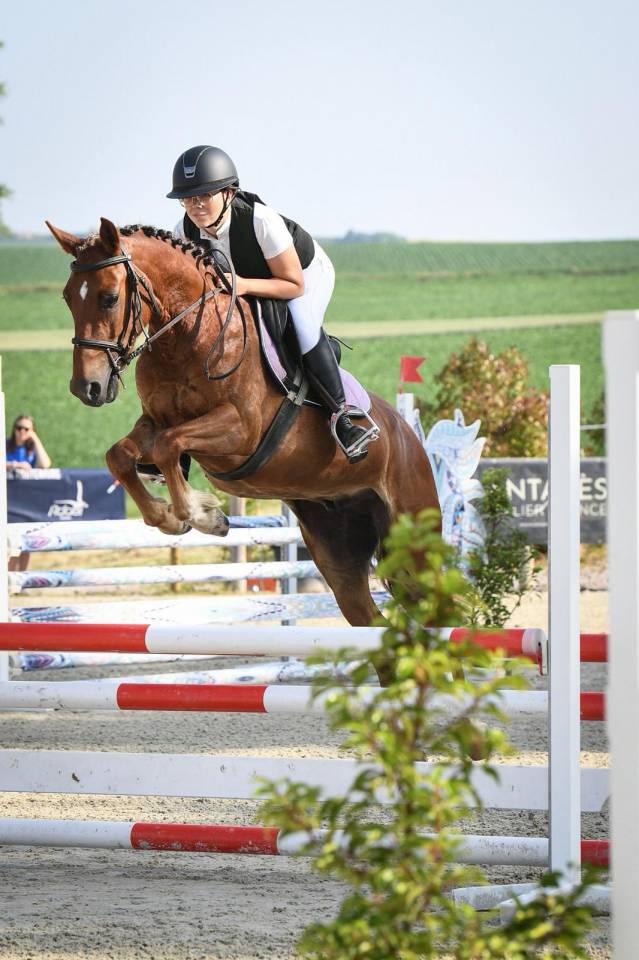 Castrone PFS Pony Francese da Sella In vendita 2021 Sauro ,  ELDORADO D'ELLE, SF