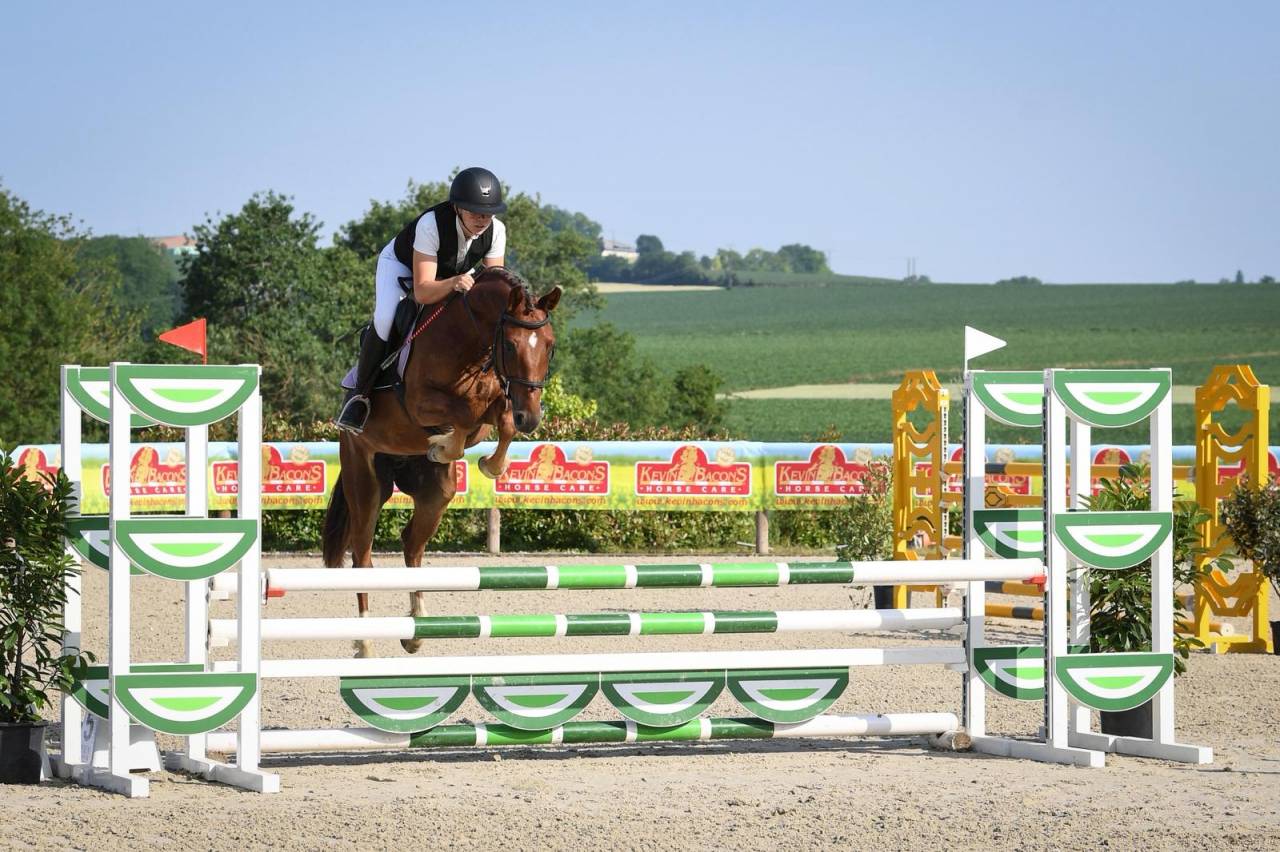 Castrone PFS Pony Francese da Sella In vendita 2021 Sauro ,  ELDORADO D'ELLE, SF