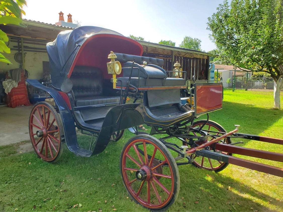 Attacchi - Calesse Pouvreau Victoria 