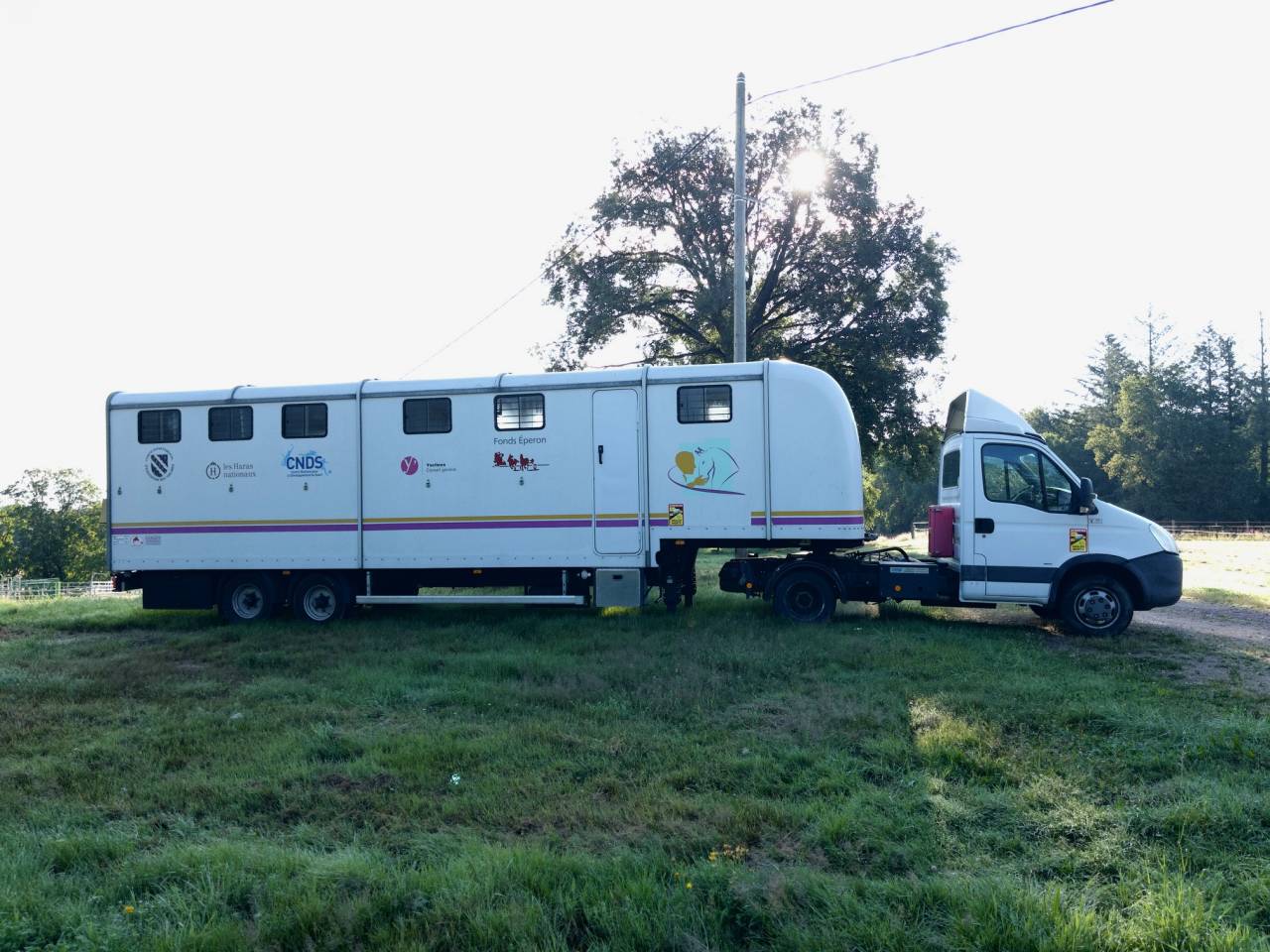 Van per Cavalli Iveco IVECO 35C18 / Semi Remorque VOW 2010 Occasione