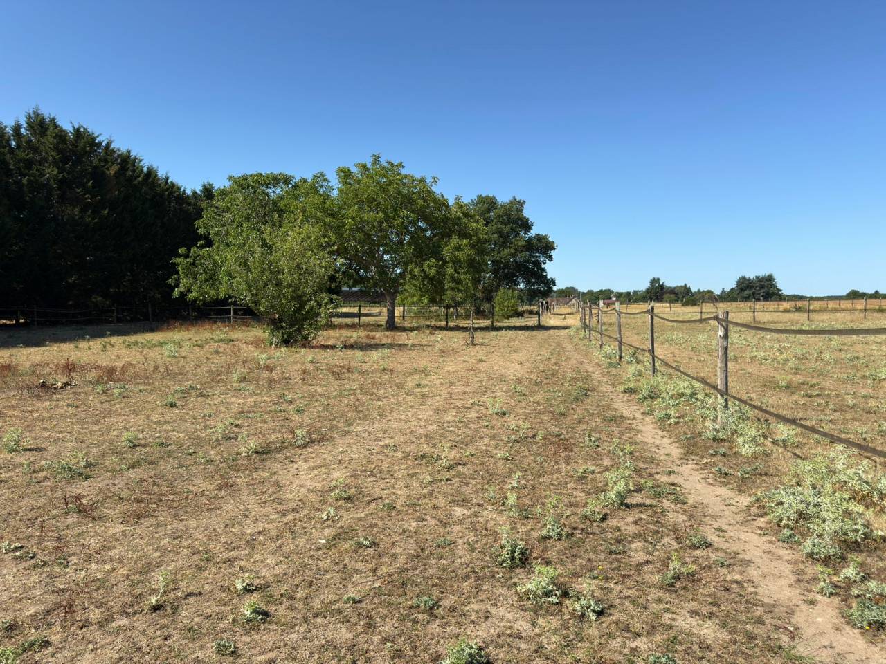 Proprietà equestre In vendita Loir-et-Cher