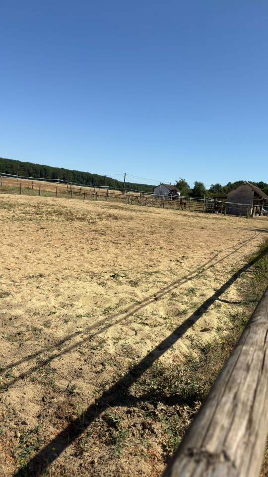 Proprietà equestre In vendita Loir-et-Cher