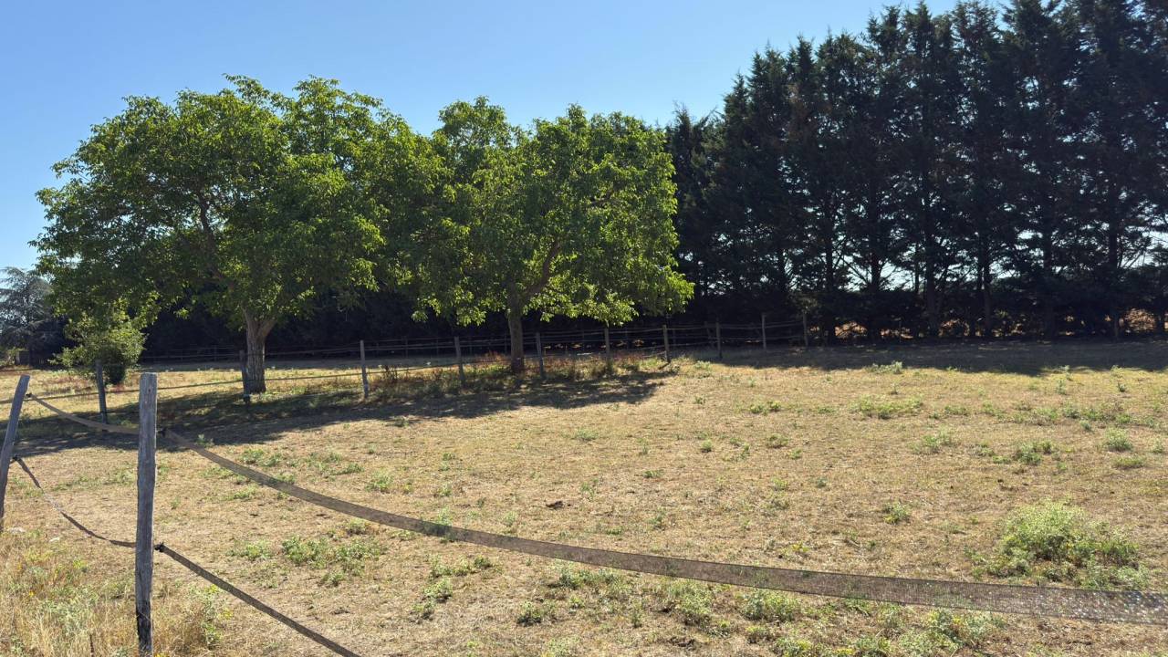 Proprietà equestre In vendita Loir-et-Cher