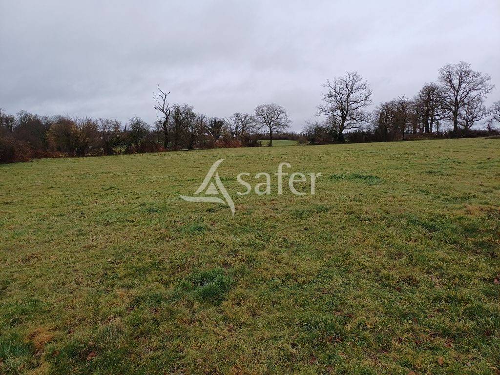 Azienda agricola In vendita Haute-Vienne