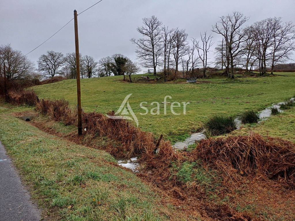 Azienda agricola In vendita Haute-Vienne