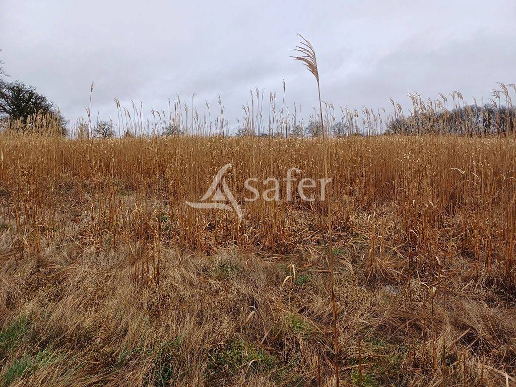 Azienda agricola In vendita Haute-Vienne