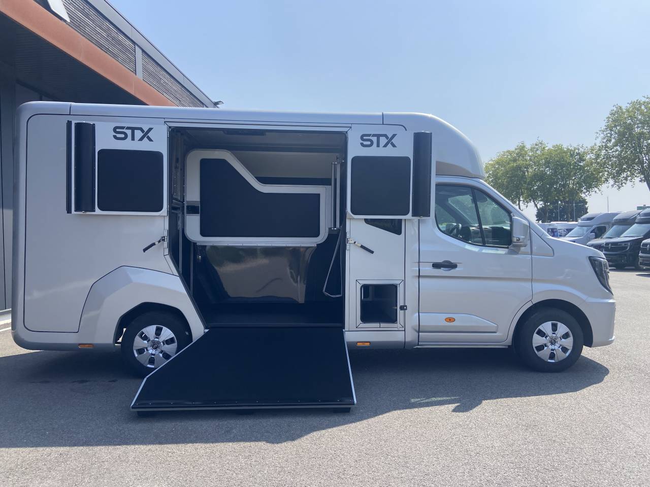 Van per Cavalli STX  2025 Nuovo