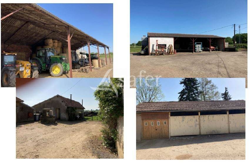 Azienda agricola In vendita Saône-et-Loire