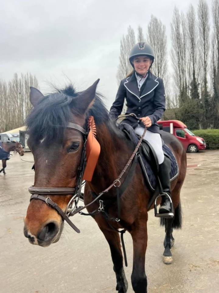 Cavalla Connemara In vendita 2012 Baio