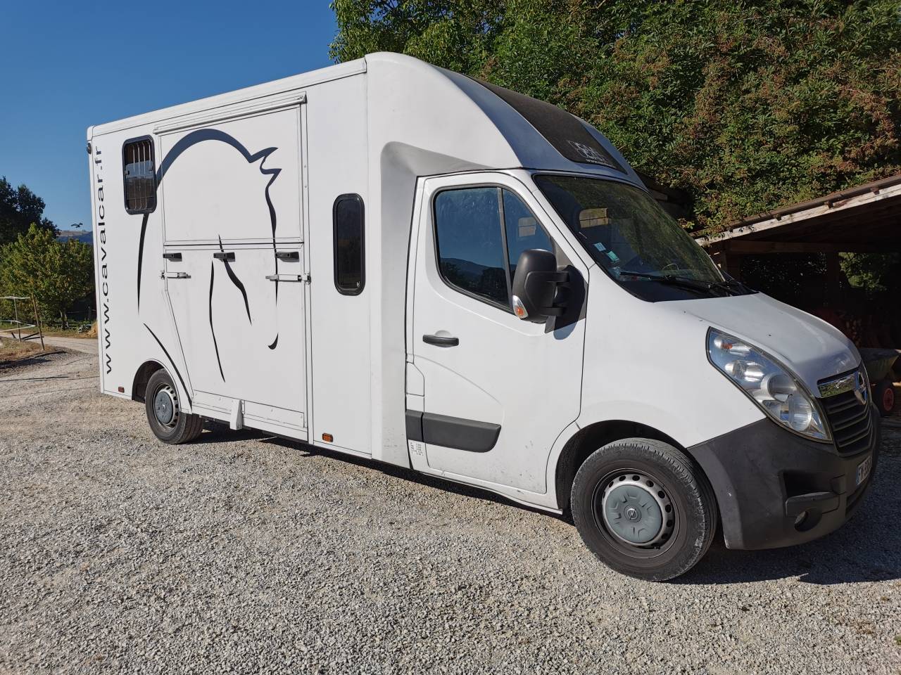 Van per Cavalli Cavalcar opel movano 2020 Occasione