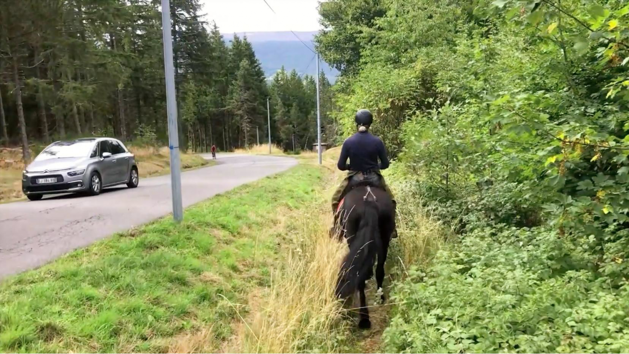 Castrone Mérens In vendita 2022 Nero ,  obao de sie