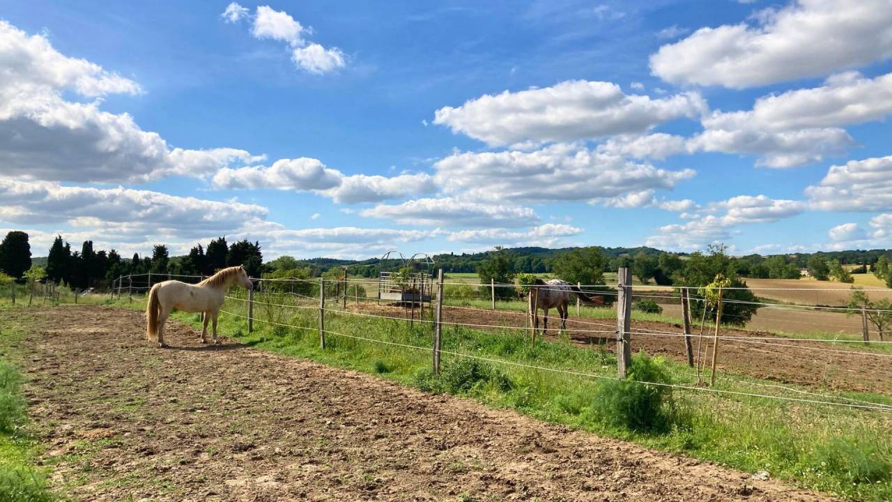Proprietà di equiturismo In vendita Aude