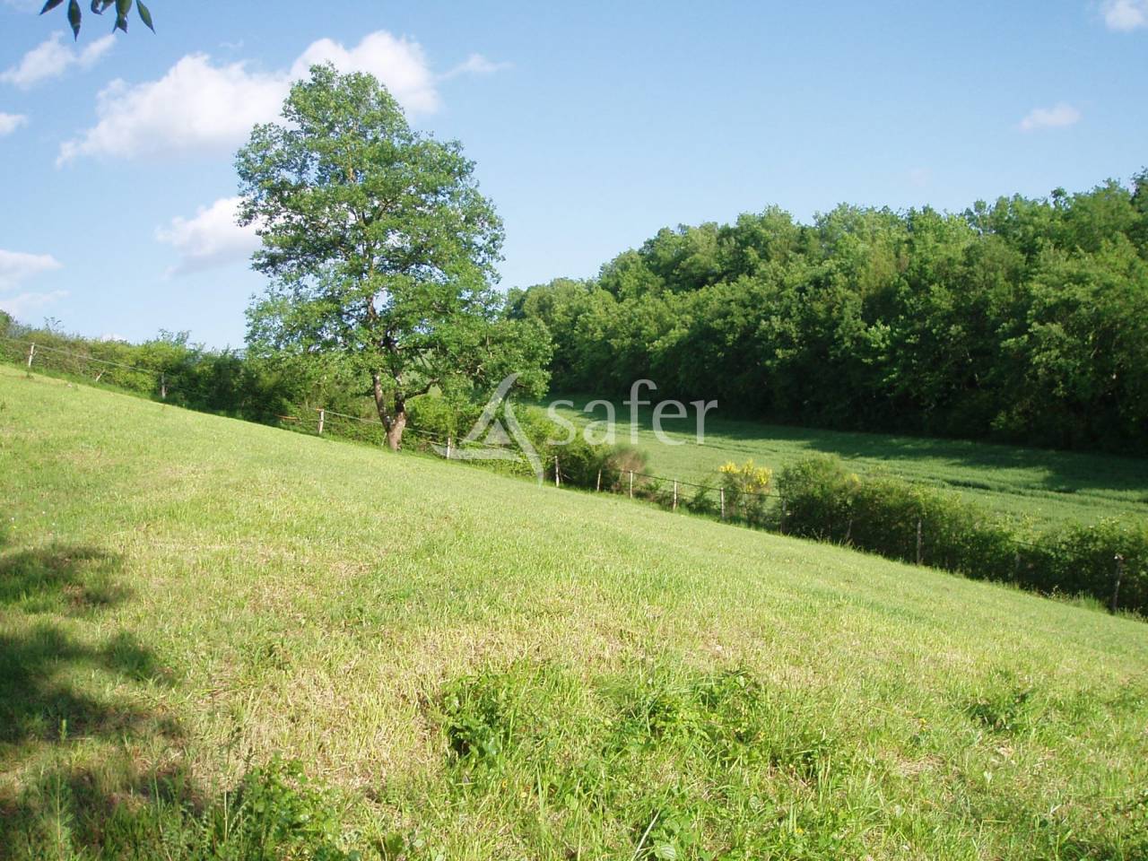 Proprietà rurale In vendita Gers